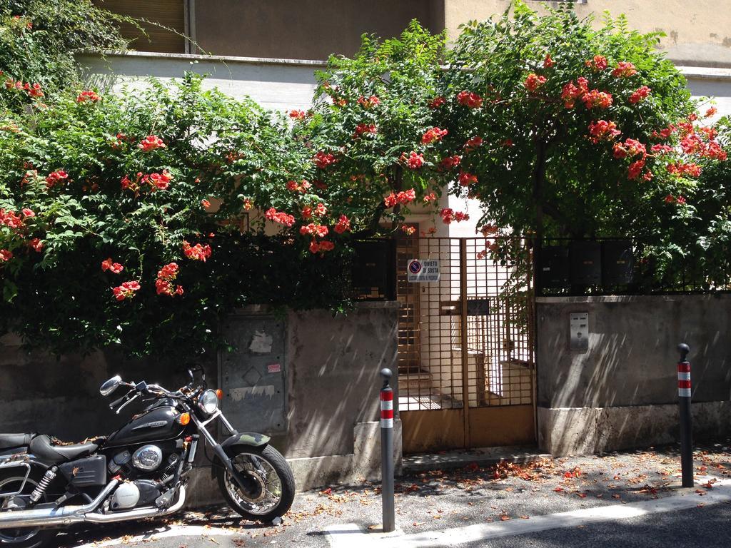 罗马岛屿旅馆酒店 外观 照片